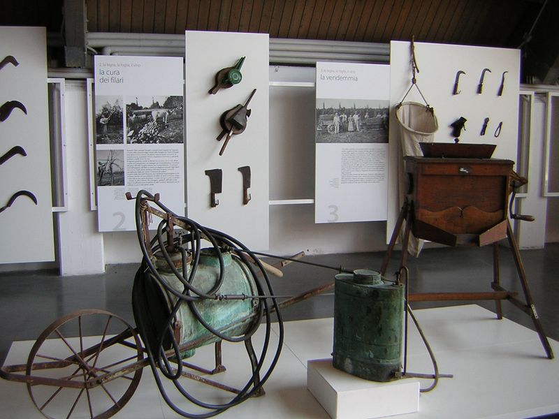 Sezione: la legna, la foglia, il vino ((Archivio del Museo della Civiltà Contadina)